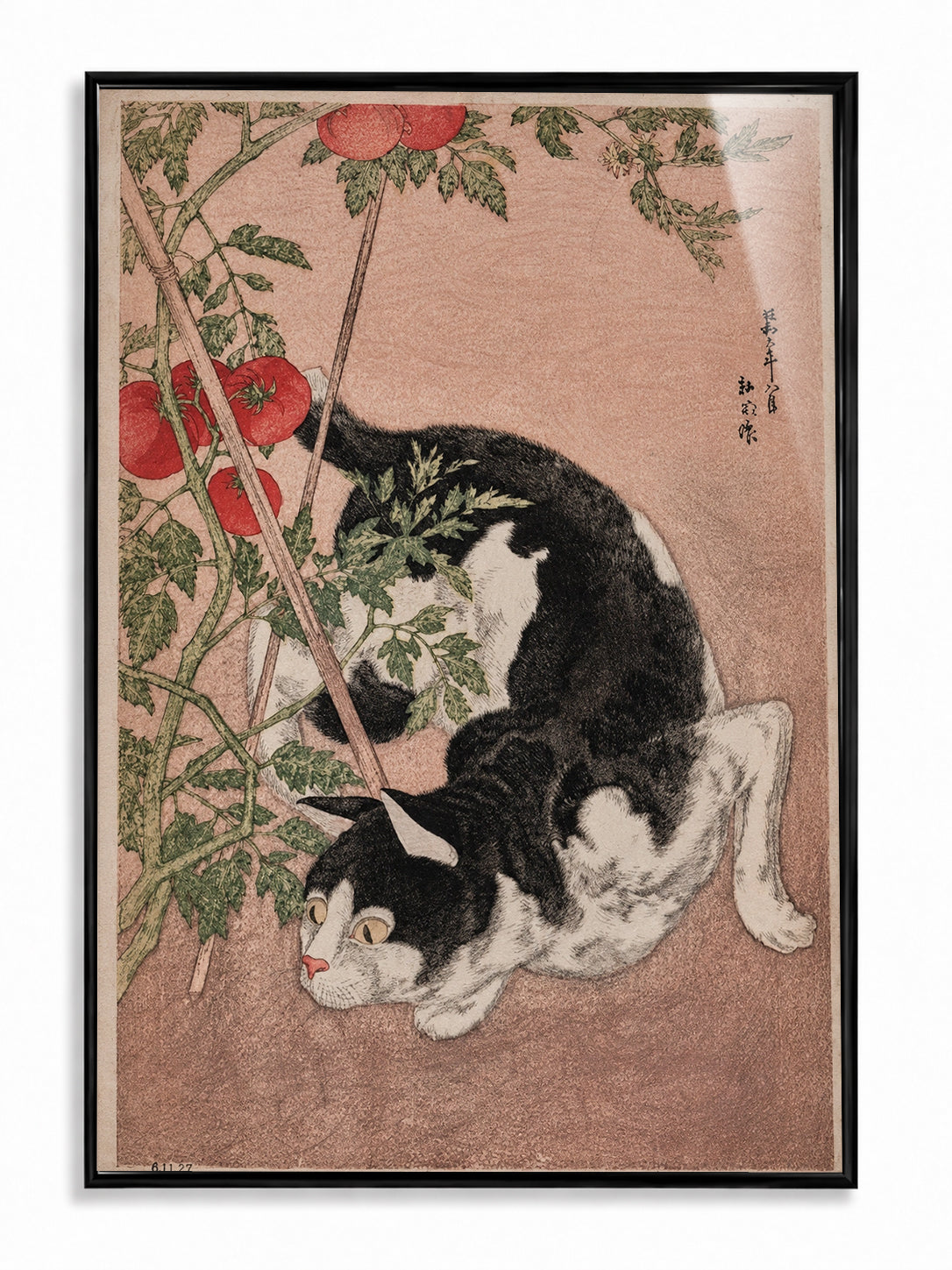 Cat with Tomato Plant