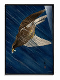 Peregrine Falcon