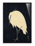 White Heron