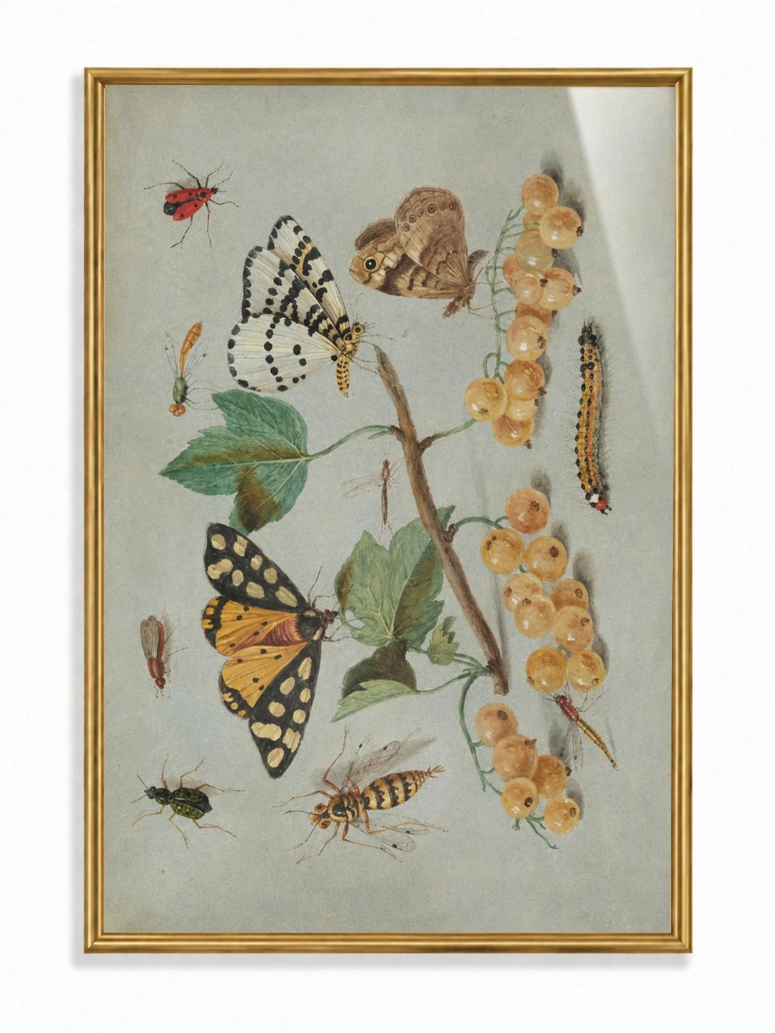 Butterflies and White Currants