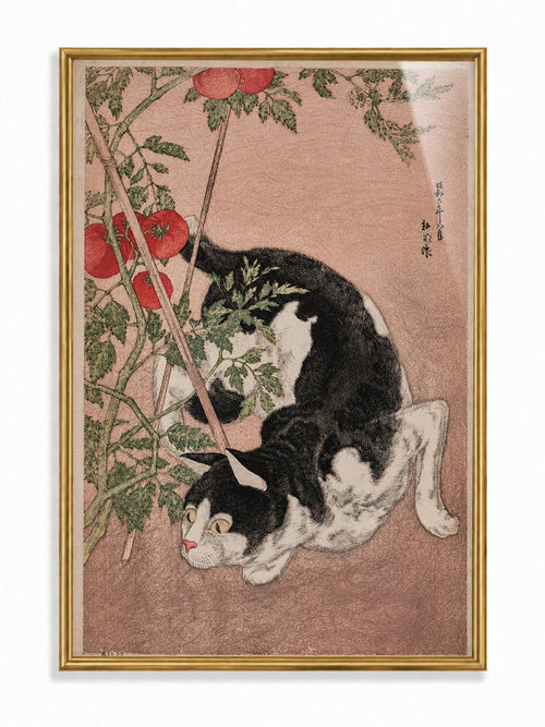 Cat with Tomato Plant