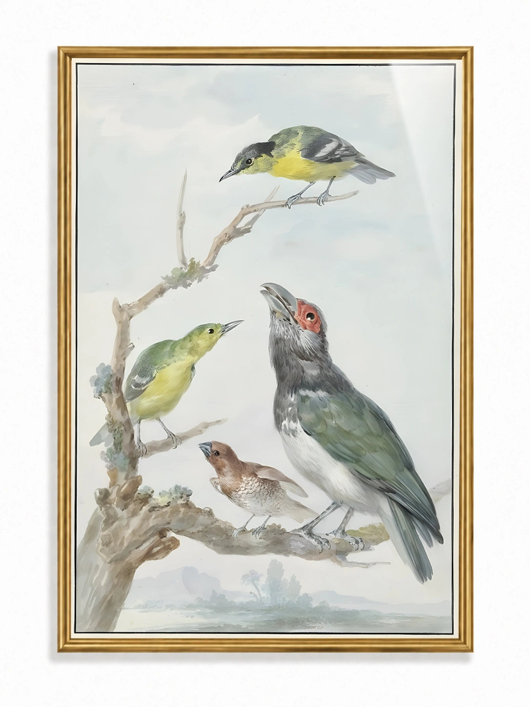 Songbirds at Dawn