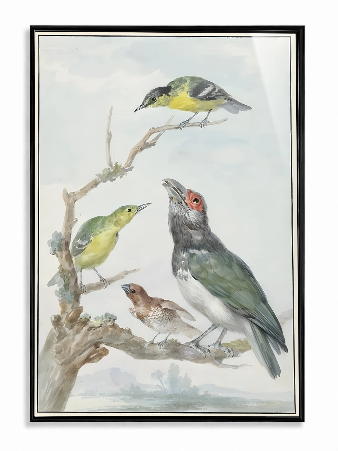 Songbirds at Dawn