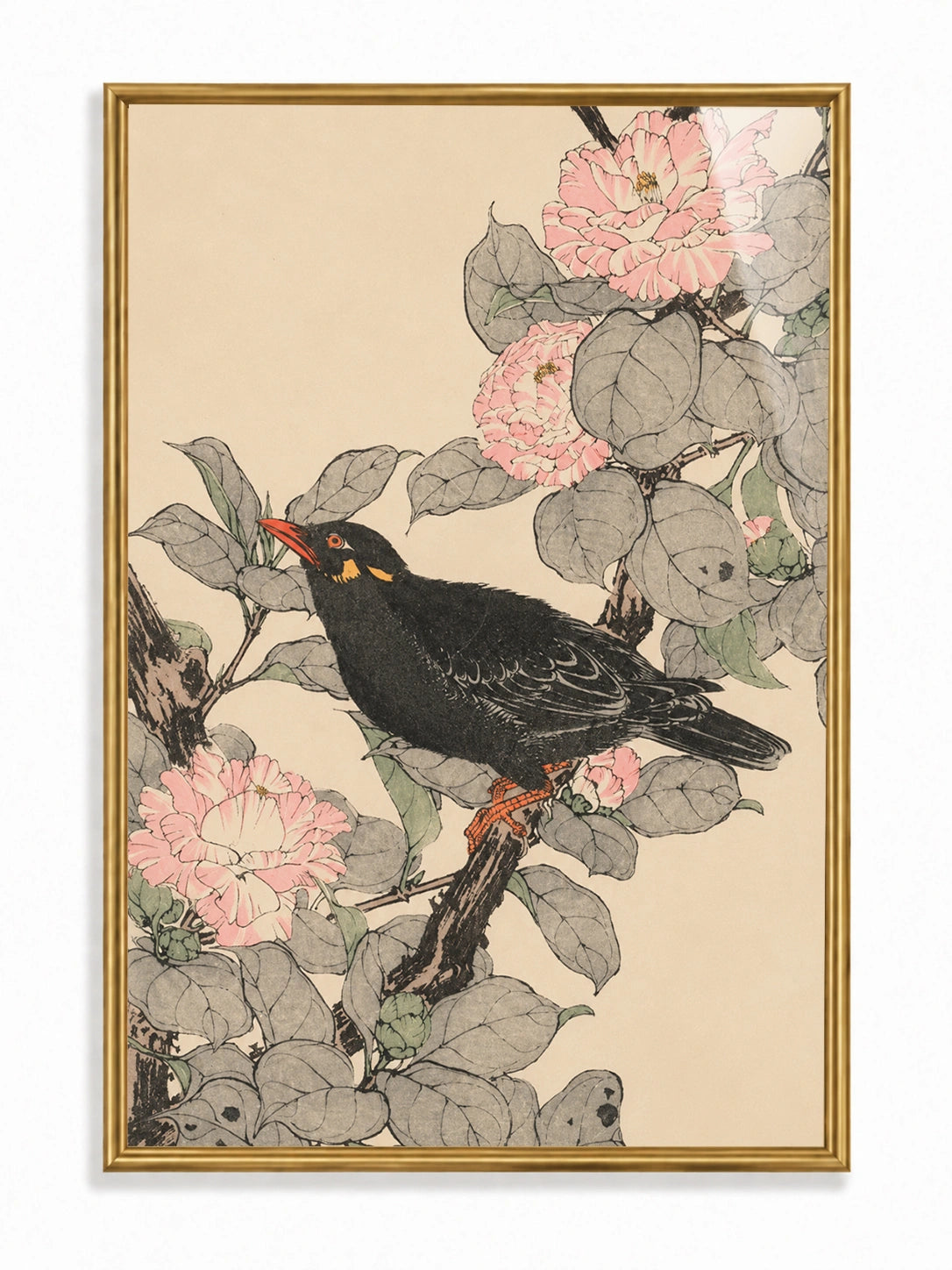 Blossom Songbird