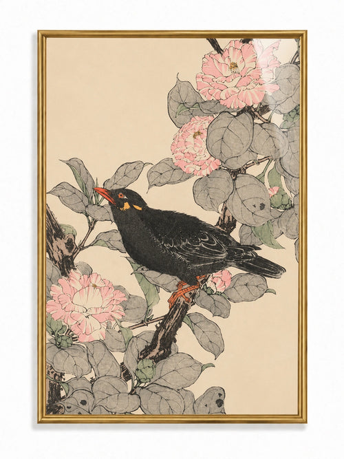 Blossom Songbird