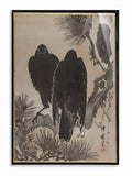 Midnight Ravens