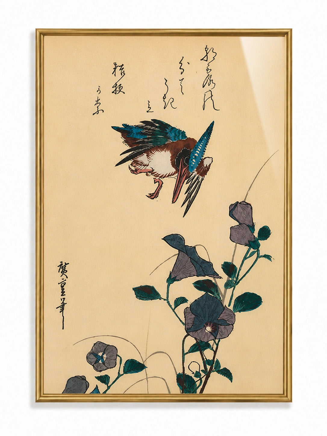 Kingfisher & Morning Glory