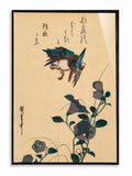 Kingfisher & Morning Glory