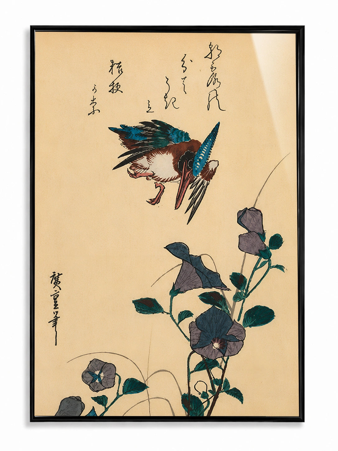 Kingfisher & Morning Glory
