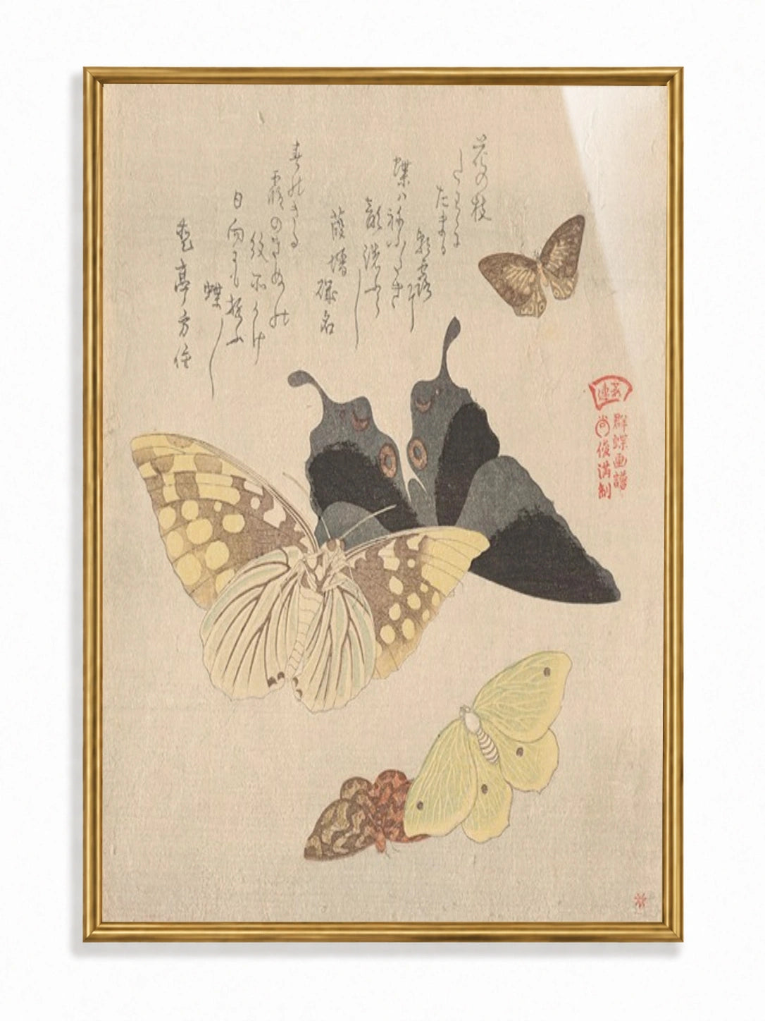 Flock of Butterflies