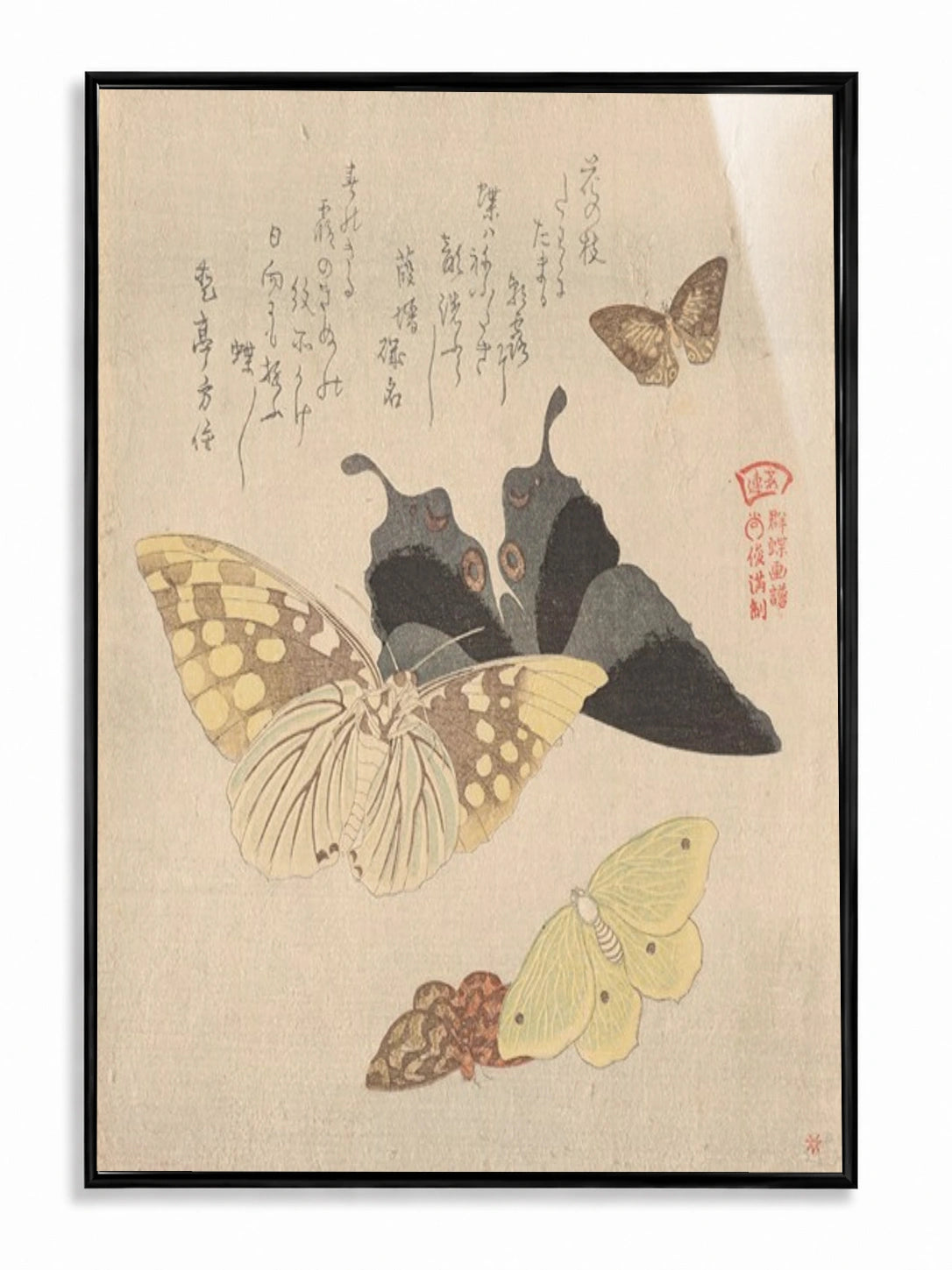 Flock of Butterflies