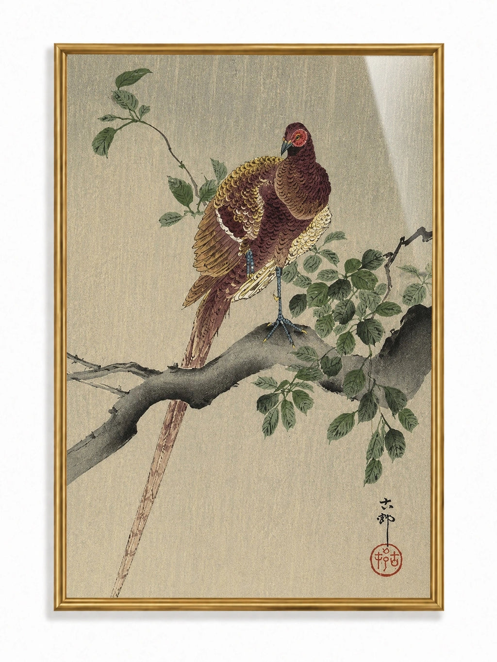 Pheasant on a Branch
