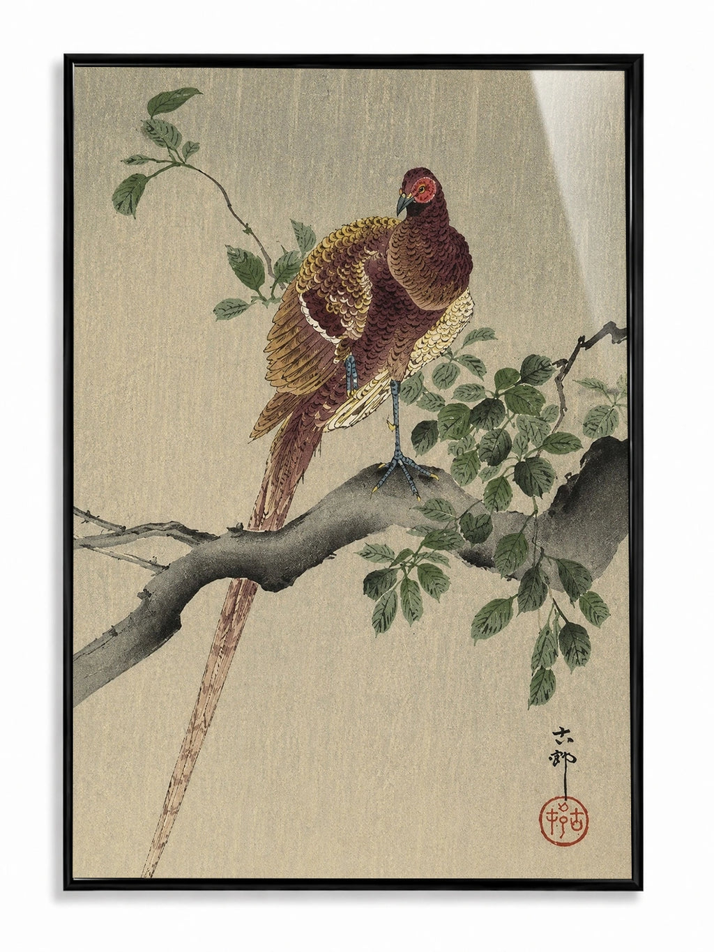 Pheasant on a Branch