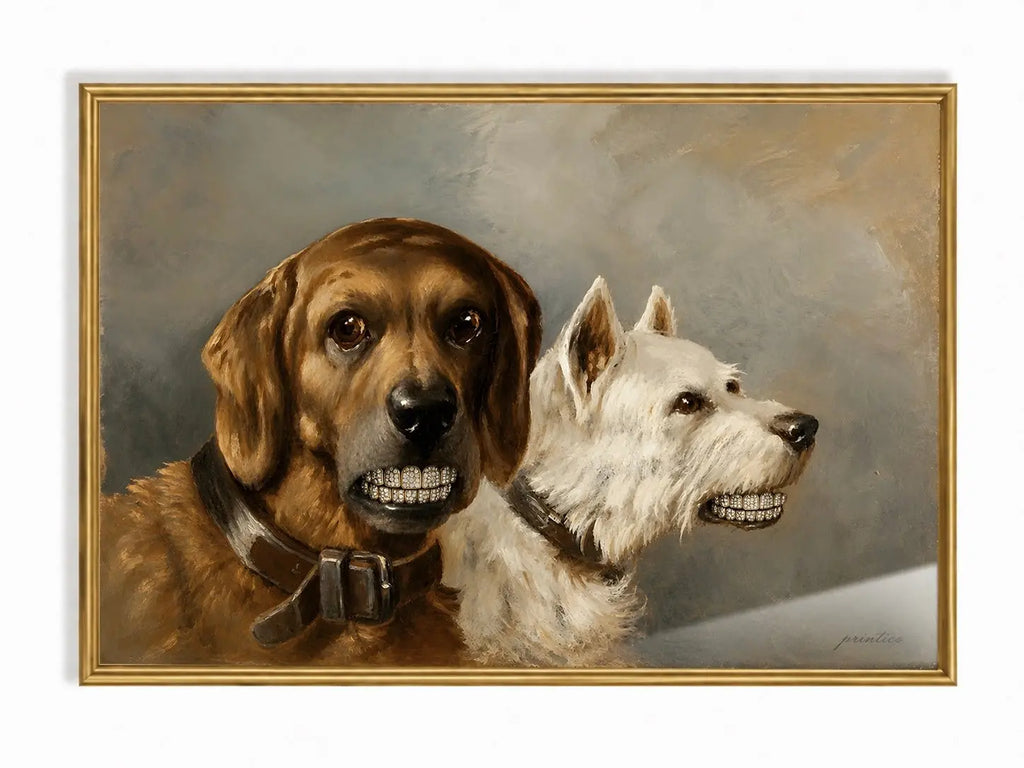 Companions