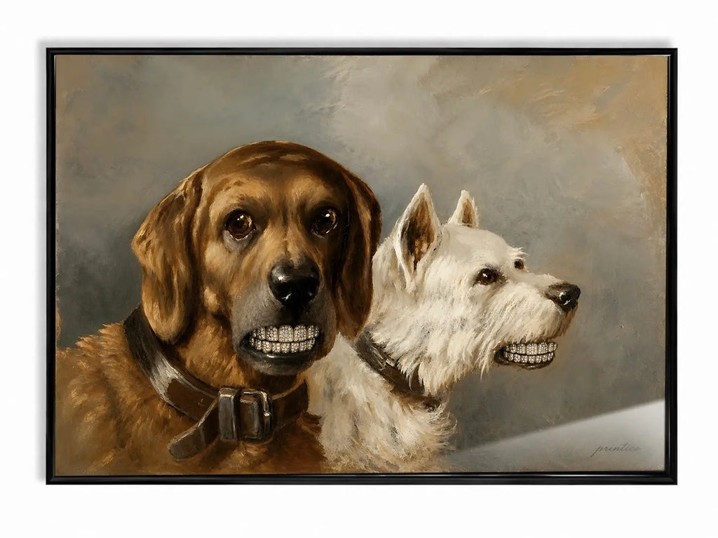 Companions