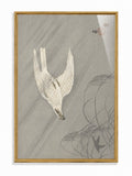 Falling Falcon