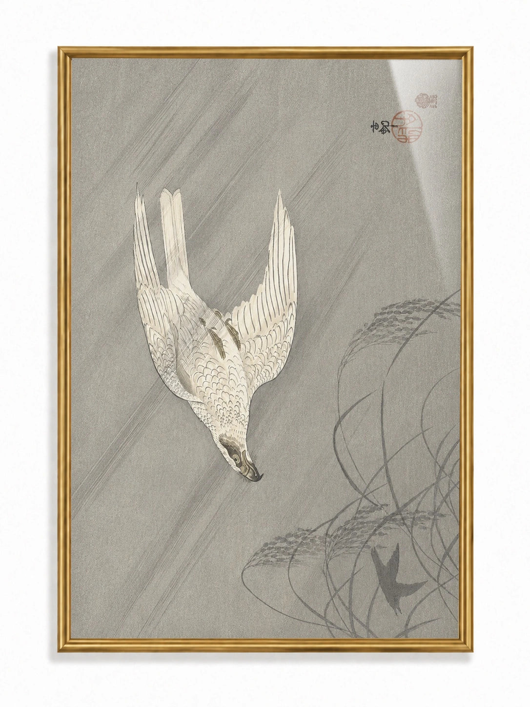 Falling Falcon
