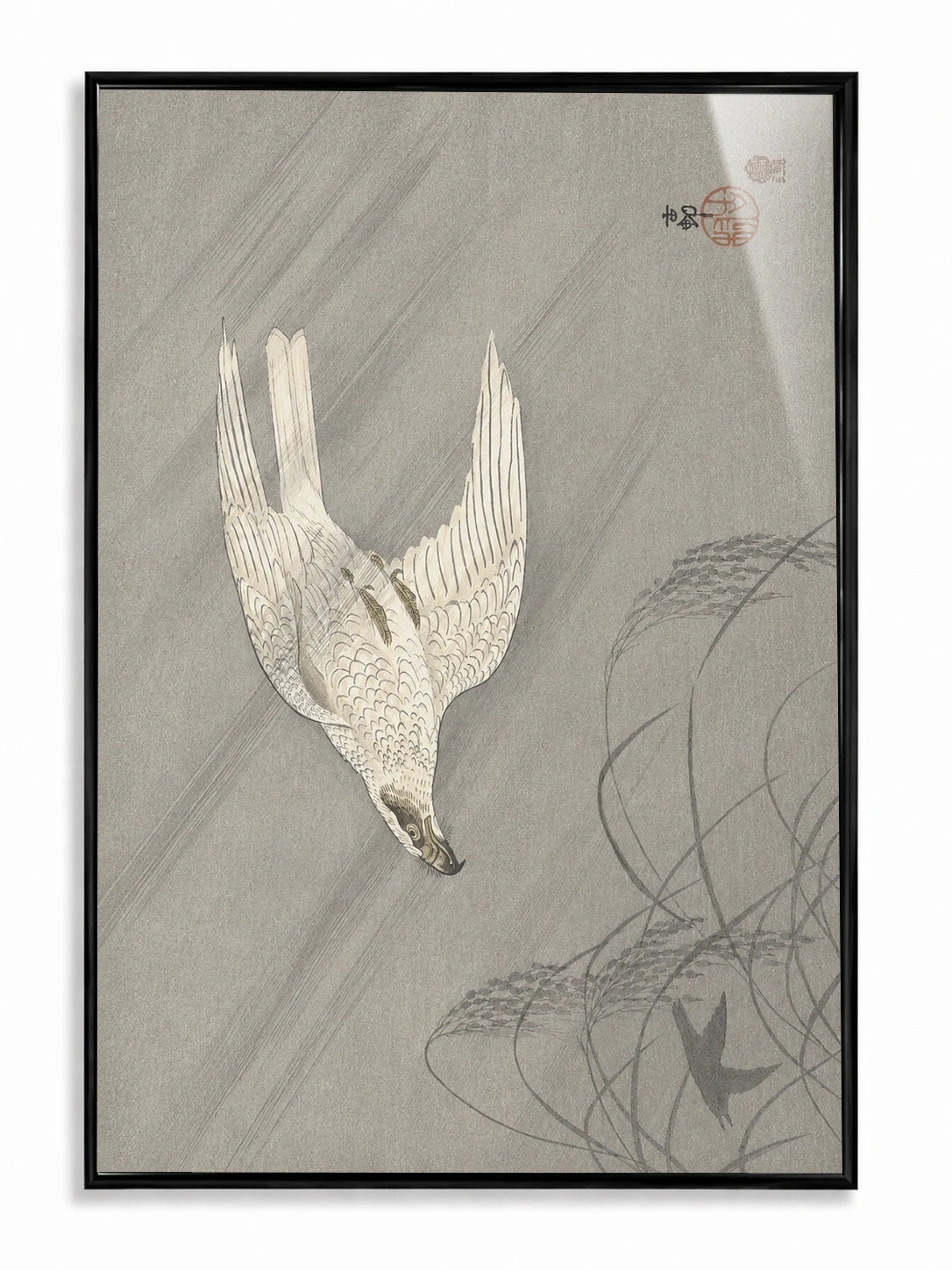 Falling Falcon