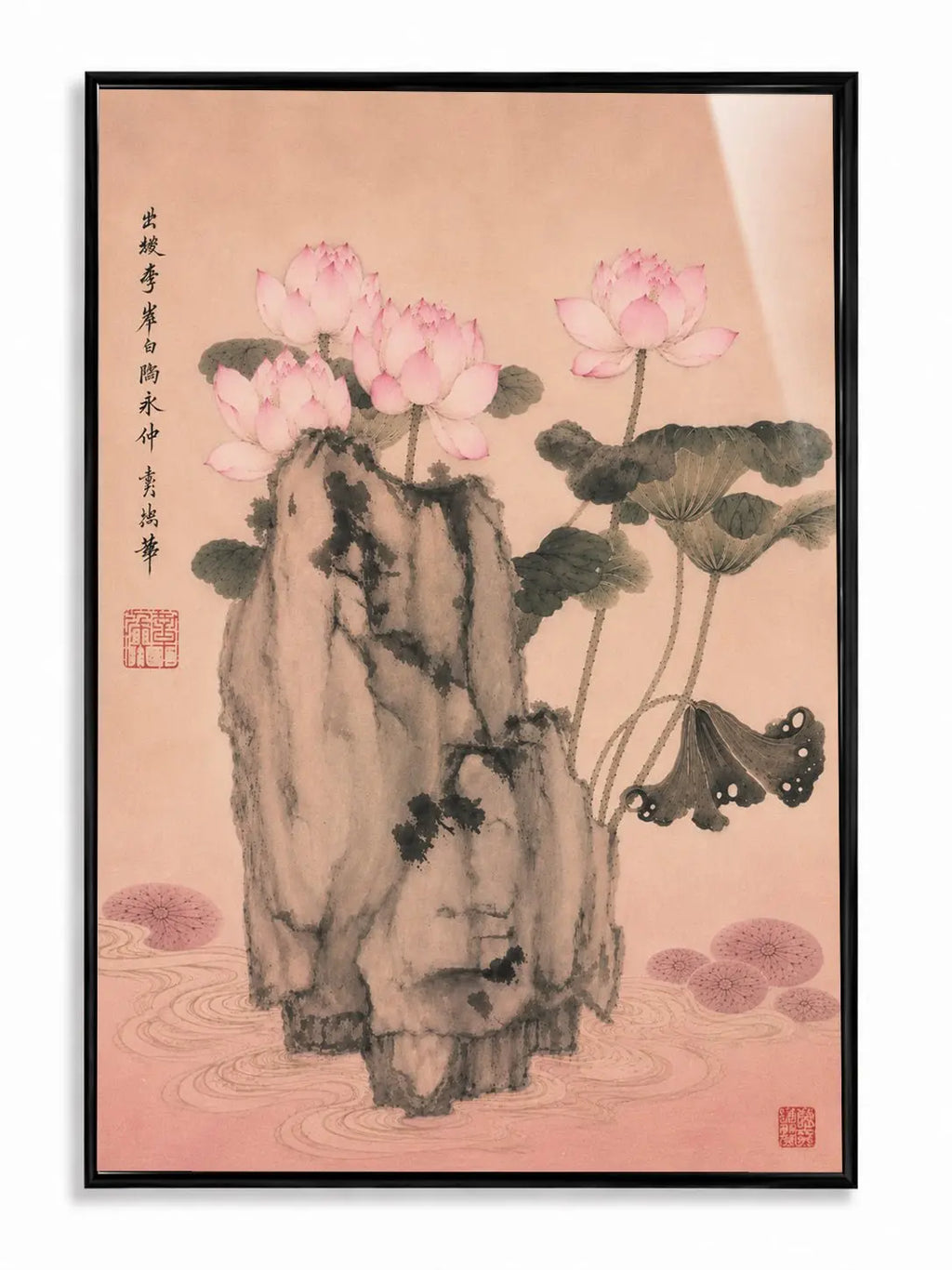 Lotus and Rocks