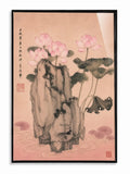 Lotus and Rocks