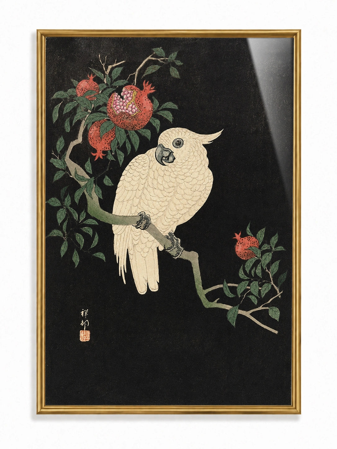 Pomegranate Cockatoo