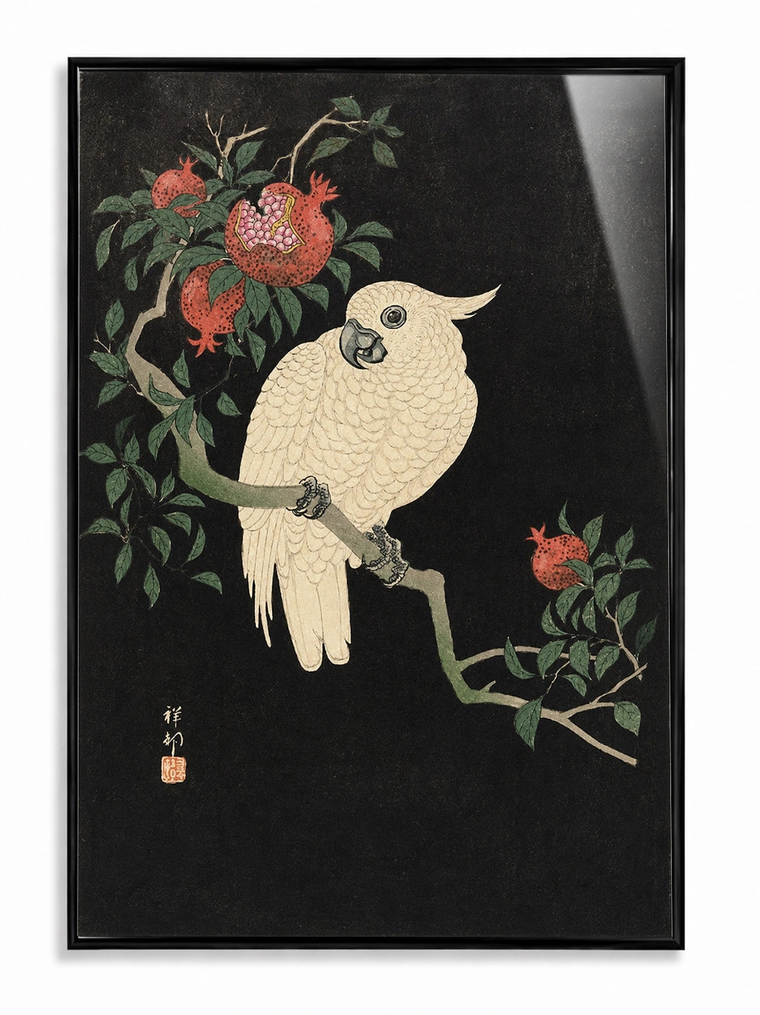 Pomegranate Cockatoo
