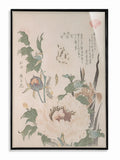 Whispering Peonies